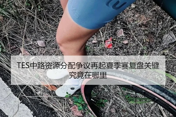 TES中路资源分配争议再起夏季赛复盘关键究竟在哪里